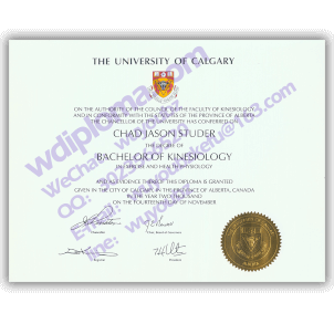 University of Calgary fake diploma